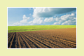 Newry Solicitors - Tiernans Solicitors | Solicitors Northern Ireland | Agricultural